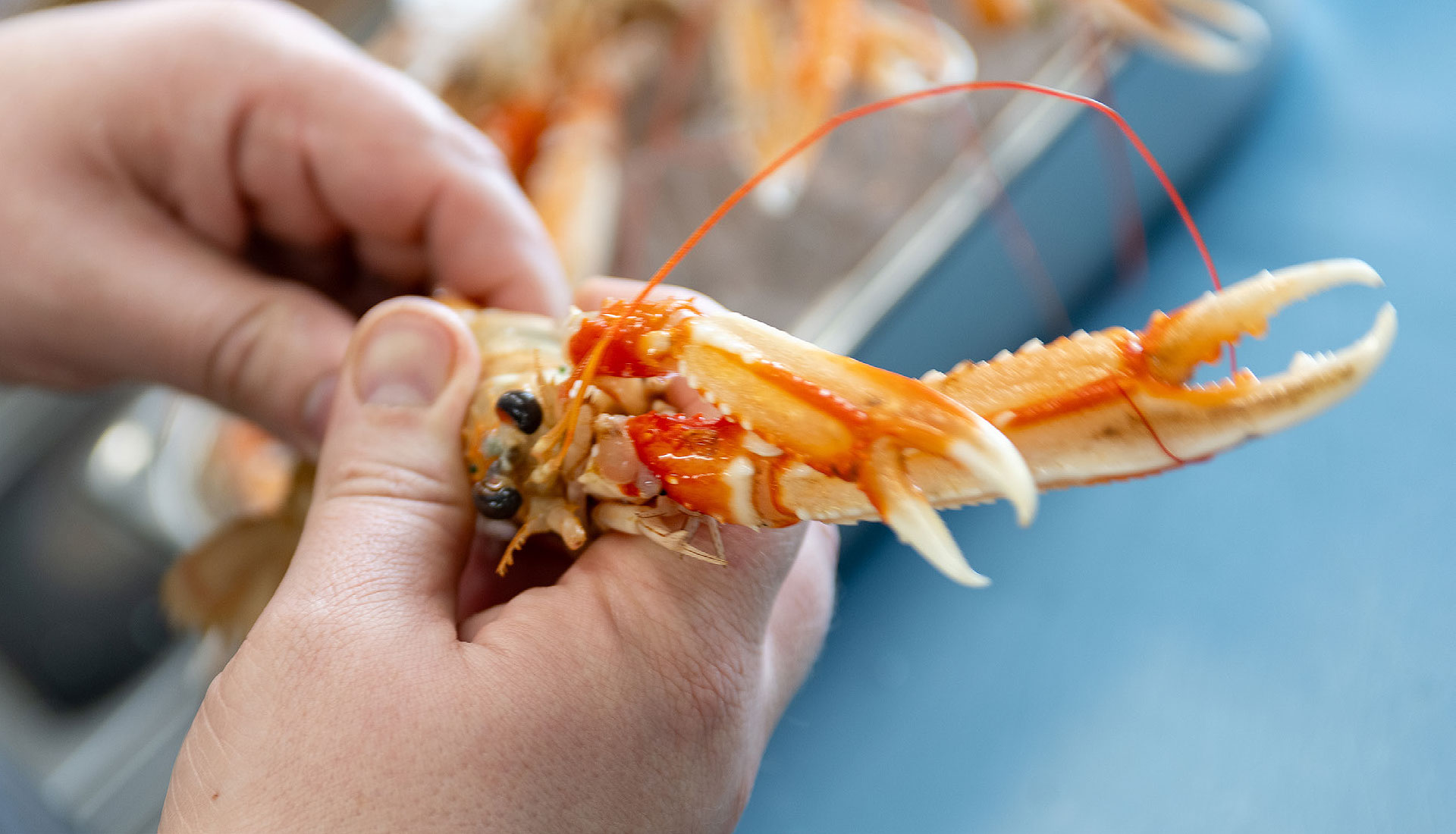 jobs-kokken-benen-diken-hof-keitum-sylt-2026-01-11